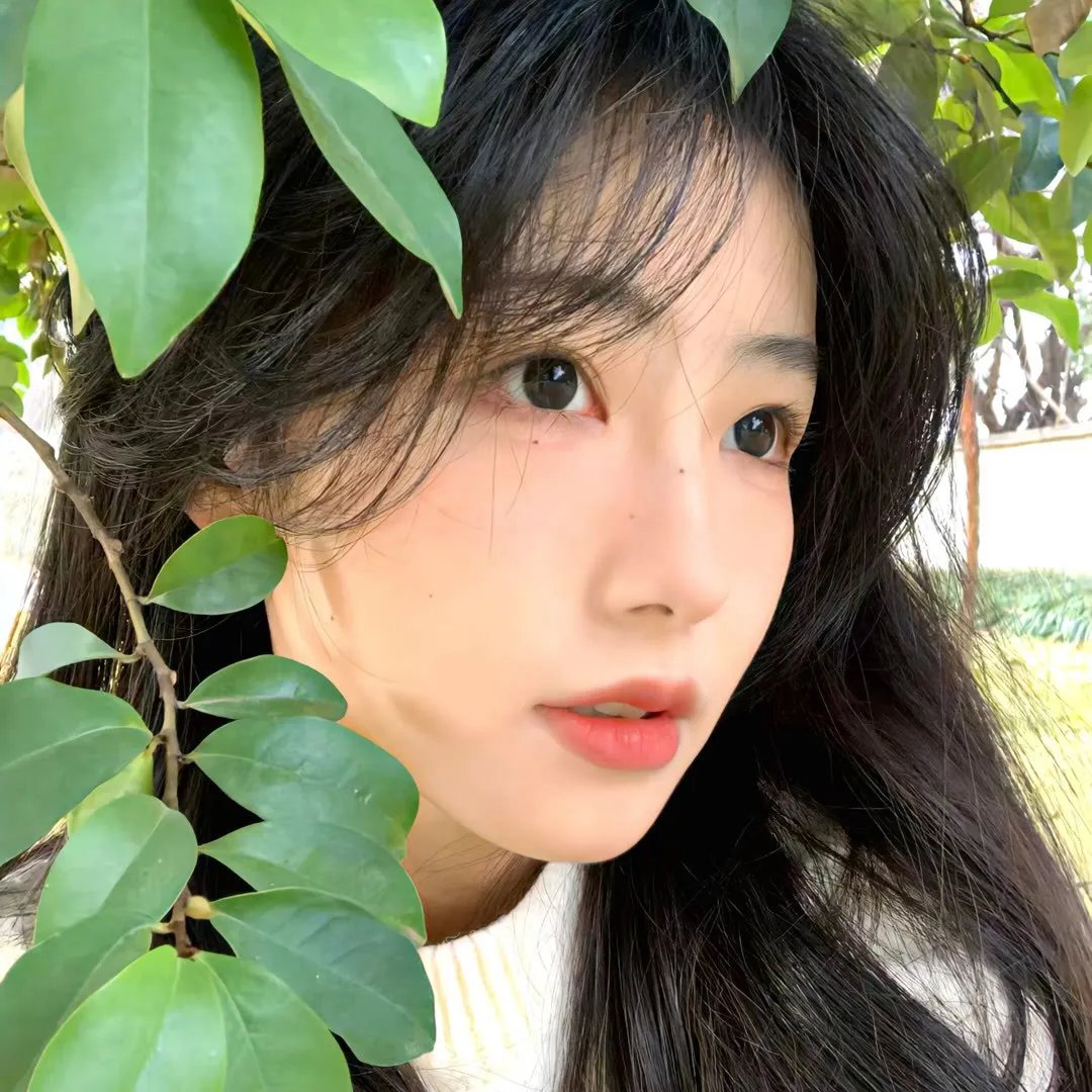 疯狗与格拉瑞小姐